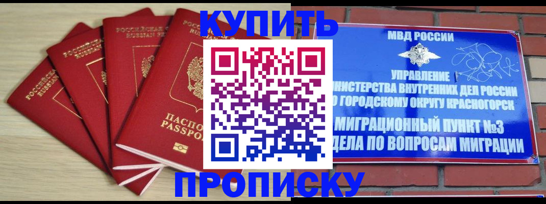 временная регистрация для всех в Стародубе
